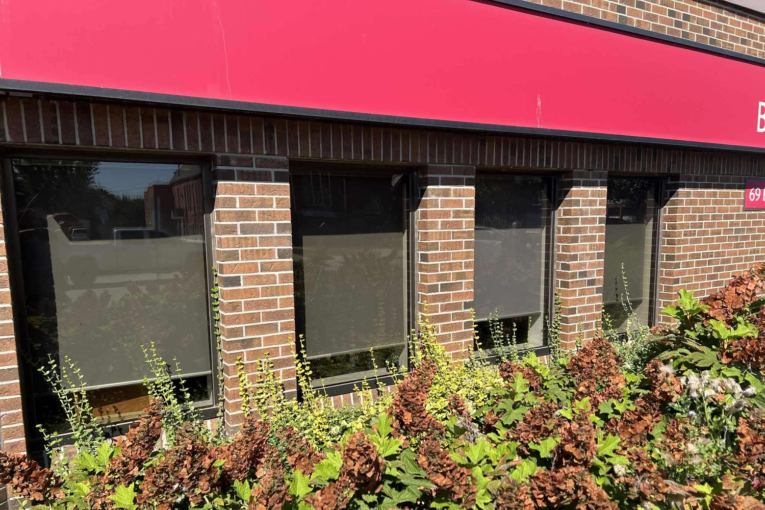 A run of four dark-framed commercial window units set between brick piers on a low brick building under a red fascia, with roller blinds drawn behind the glass