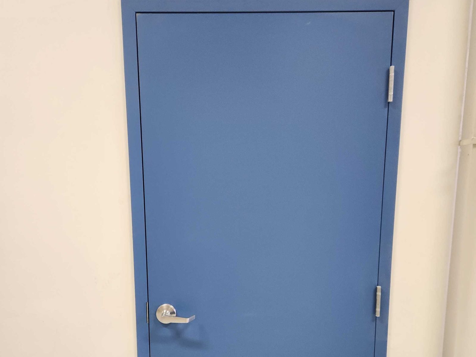 A blue painted hollow metal door hung on butt hinges in a steel frame with a lever handle, installed by Canuck Door Systems