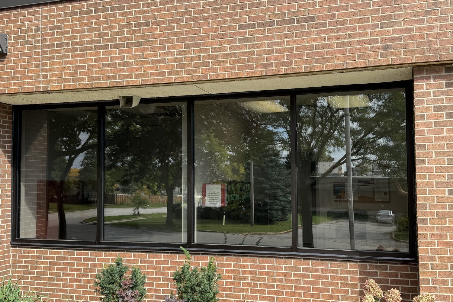 A long band of new dark aluminum-framed windows set into the brick wall of PCI Pharma Services in Mississauga, above a planted bed