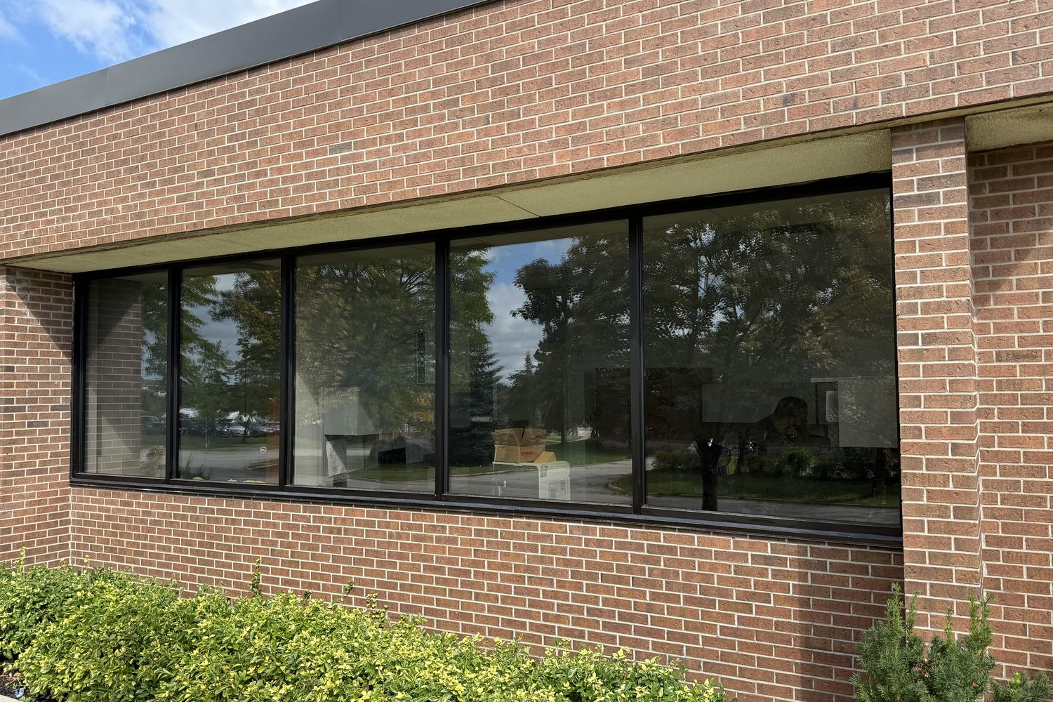 A wide aluminum-framed window between brick piers on PCI Pharma Services' building in Mississauga, with planting below