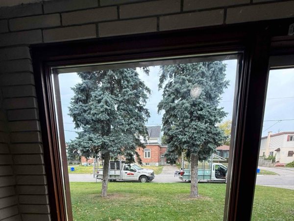 Commercial Glass & Window Repair installed by Canuck Door Systems for Alaris Group in Oshawa