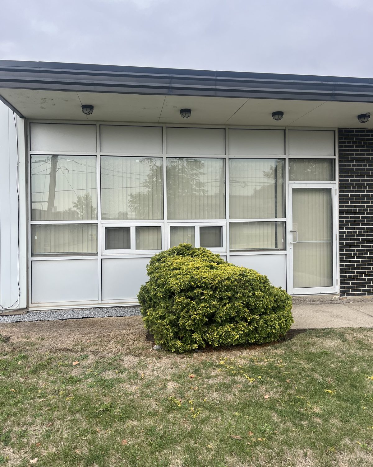 A new clear anodized aluminum storefront with a glazed door and full-width glass under a flat canopy on a commercial unit on Sunrise Avenue, Toronto