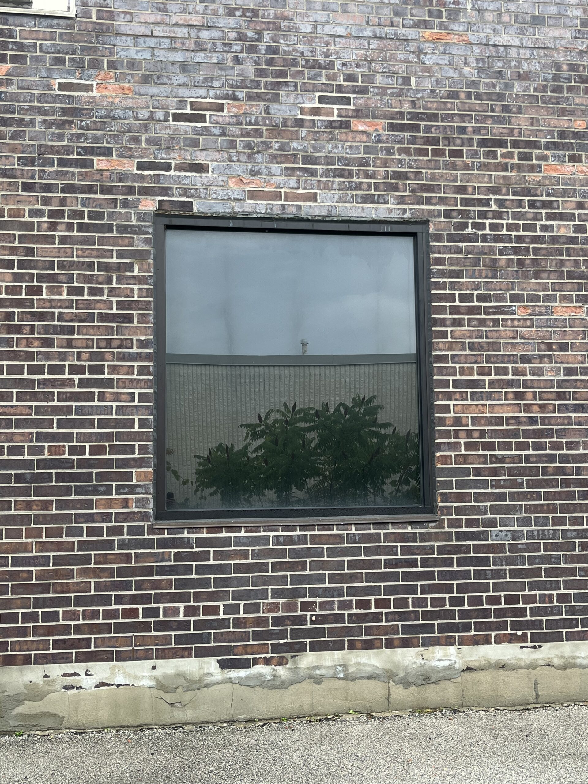 Commercial Windows in Markham