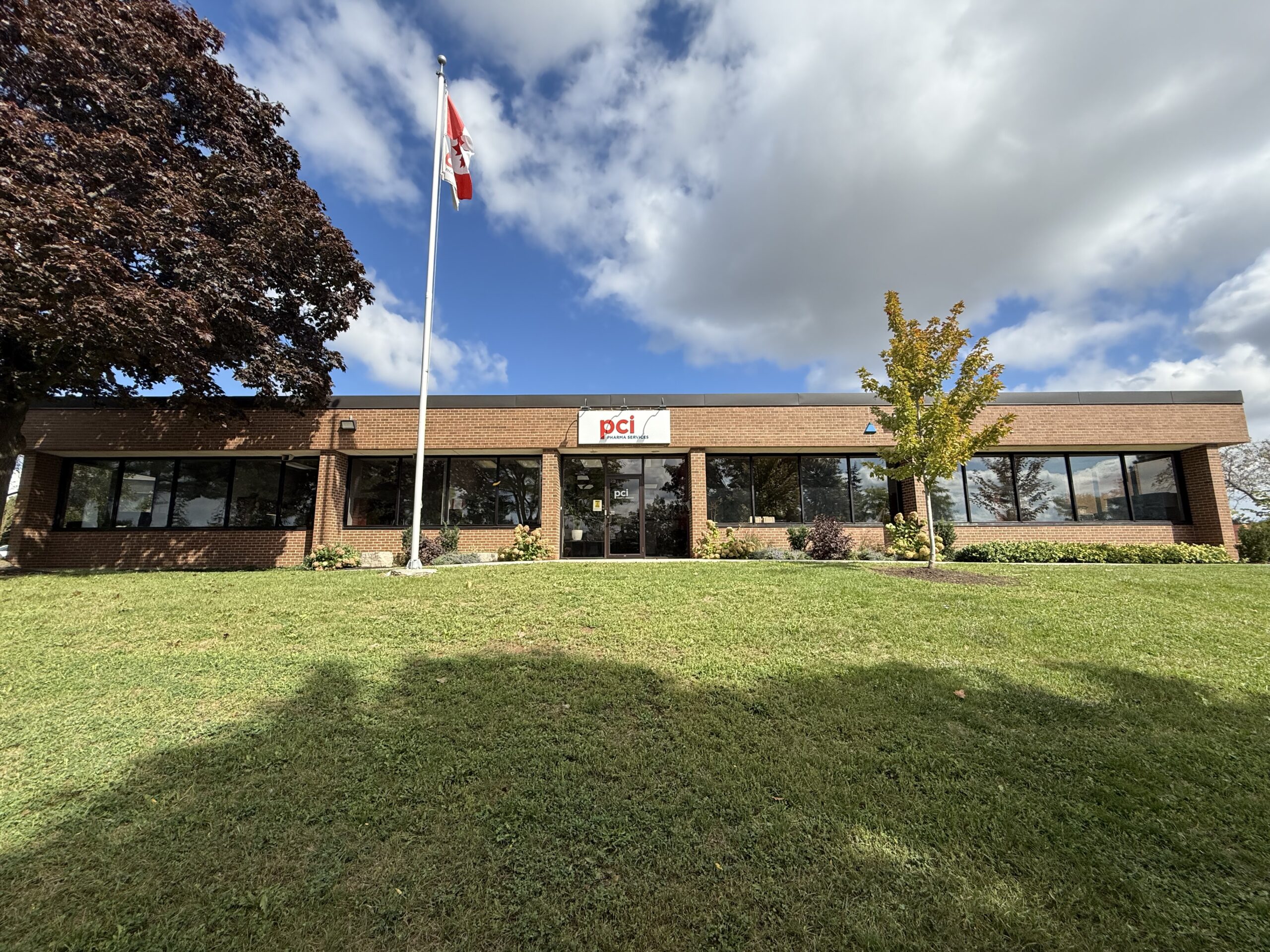 Commercial Windows in Mississauga