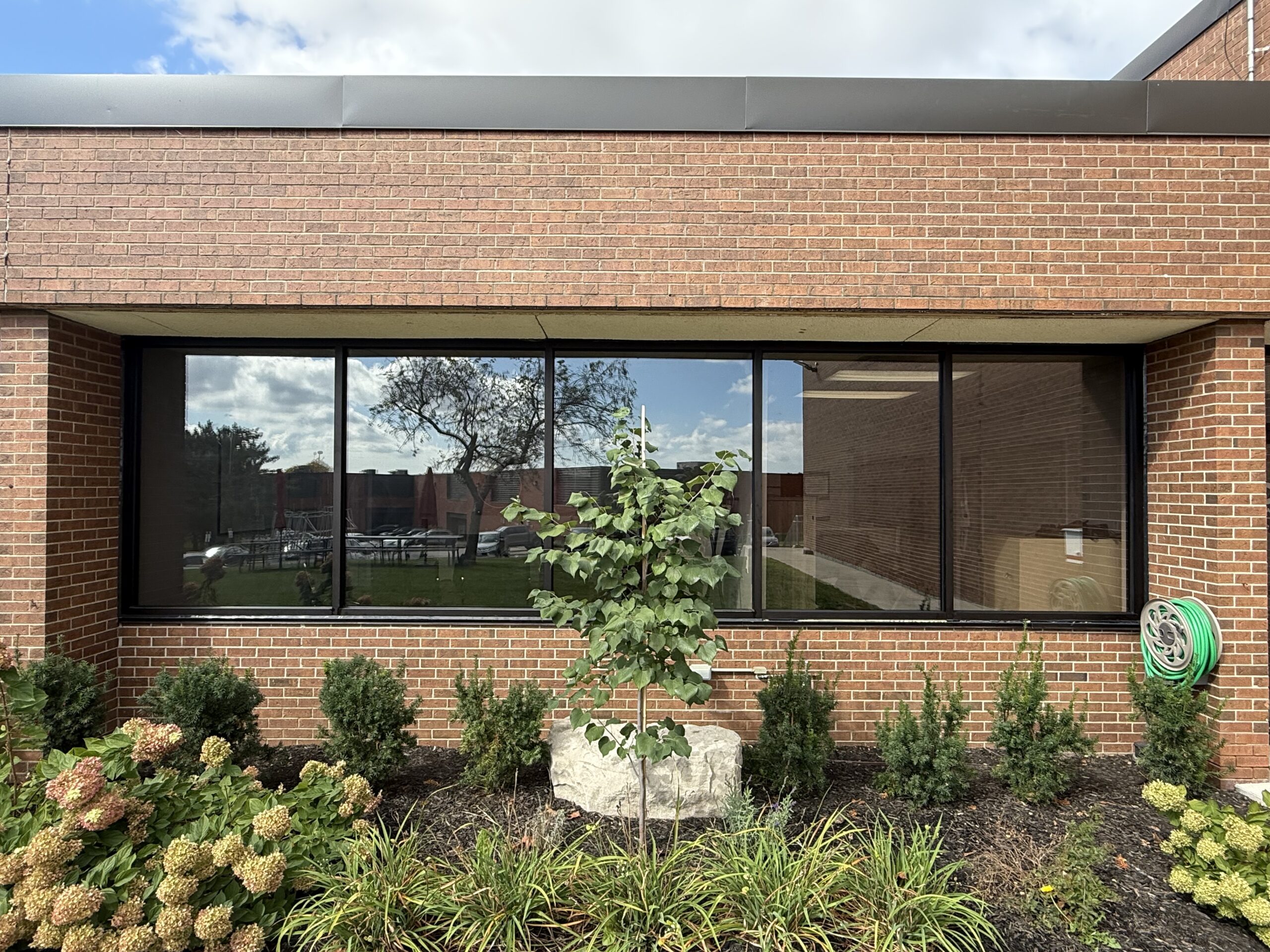 Commercial Windows in Mississauga